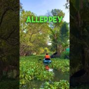 Ultimate Guide To Alleppey #travel #travelblogger #2023 #india #trip #kerala #alleppy #alappuzha