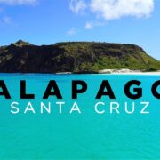GALAPAGOS: ISLA SANTA CRUZ - Travel Guide to ALL SIGHTS and ISLANDS in 4K