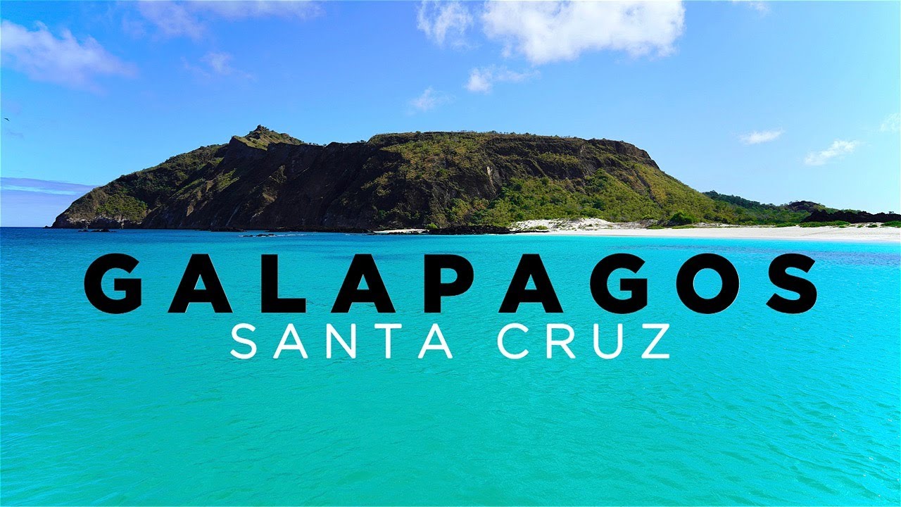 GALAPAGOS: ISLA SANTA CRUZ – Travel Guide to ALL SIGHTS and ISLANDS in 4K