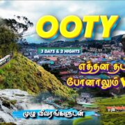 3 Days Ooty & Masinagudi Travel Guide | Wildlife Jeep Safari🐘, Tourist Places😍 | Budget details!