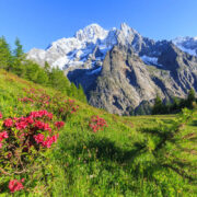 Americans Are Flocking To This Alpine Region Of Italy With Epic Mountains