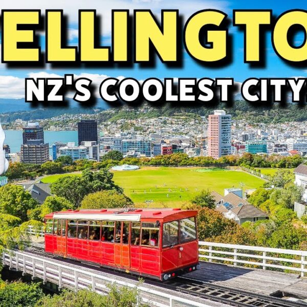 What To Do In Wellington: A 24-Hour Travel Guide To New Zealand’s Capital | CJ Explores