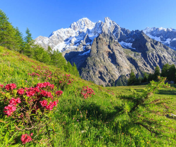 Americans Are Flocking To This Alpine Region Of Italy With Epic Mountains